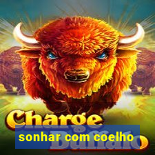 sonhar com coelho